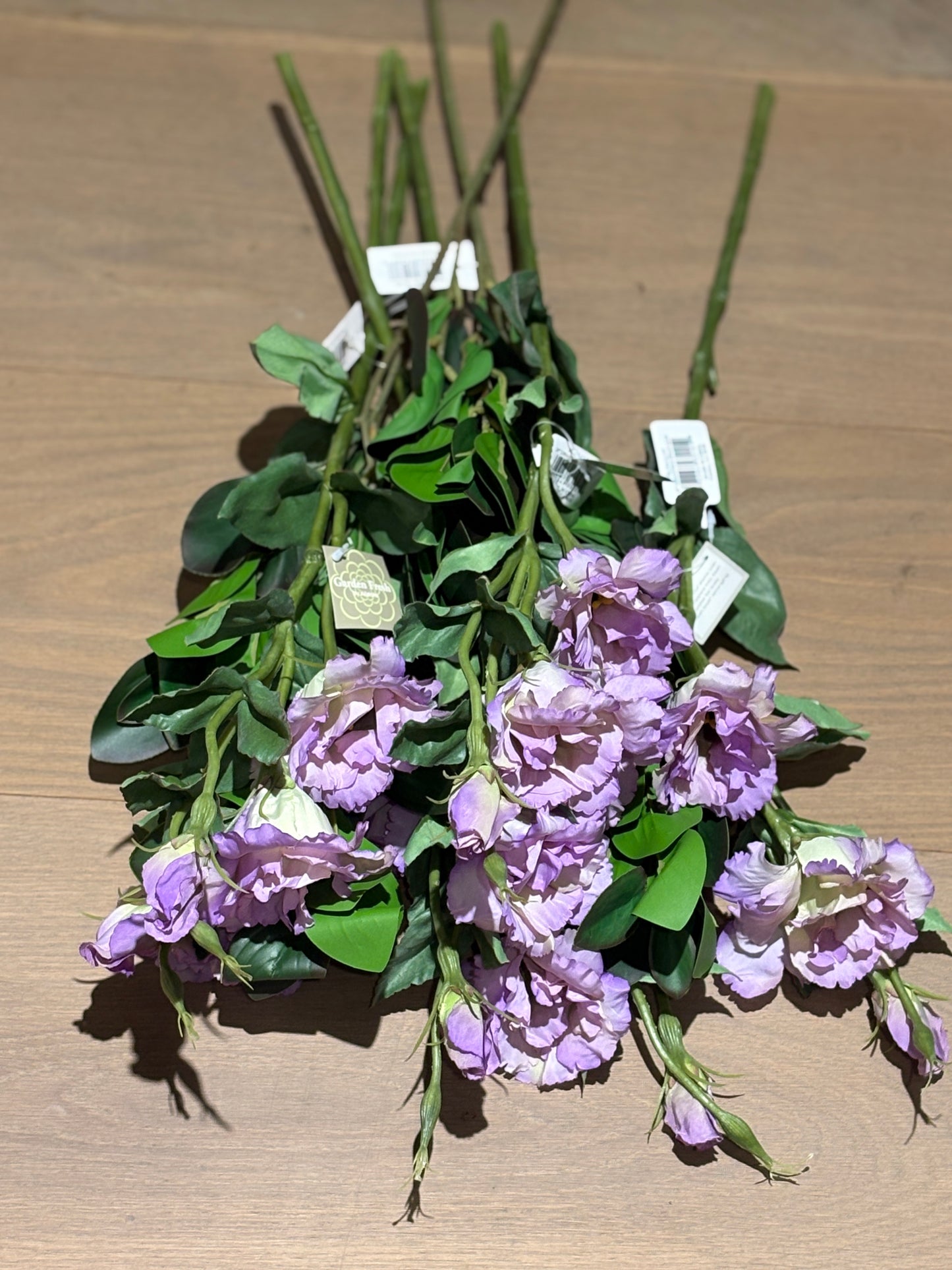 TALLO DE LICIANTHUS