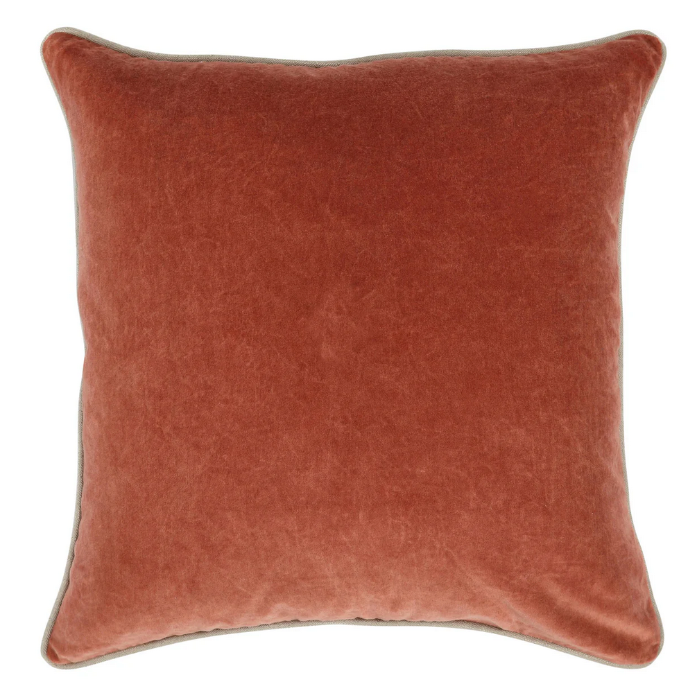 COJIN DE TERCIOPELO EN VARIOS COLORES
