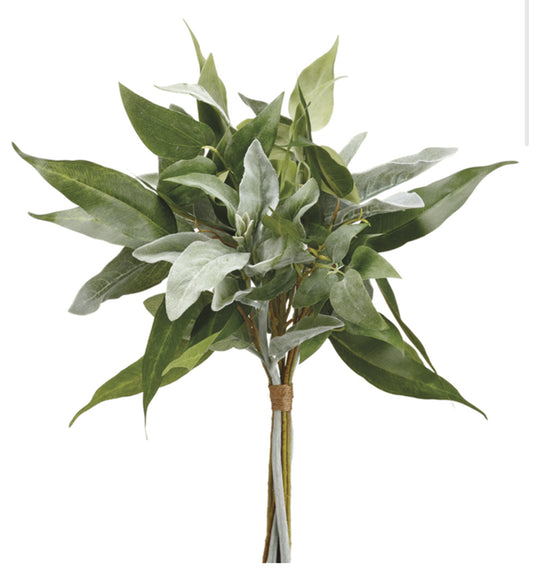 Ramo decorativo de “lambs ear”