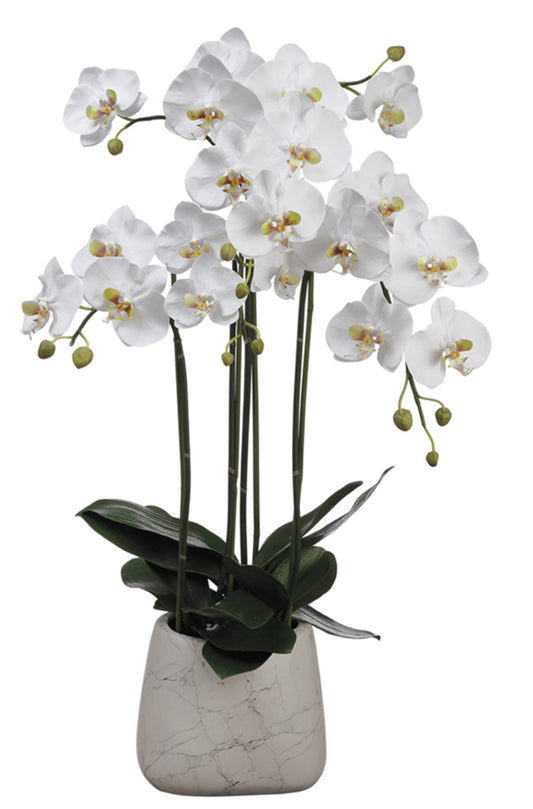 ARREGLO DE ORQUÍDEA GRANDE