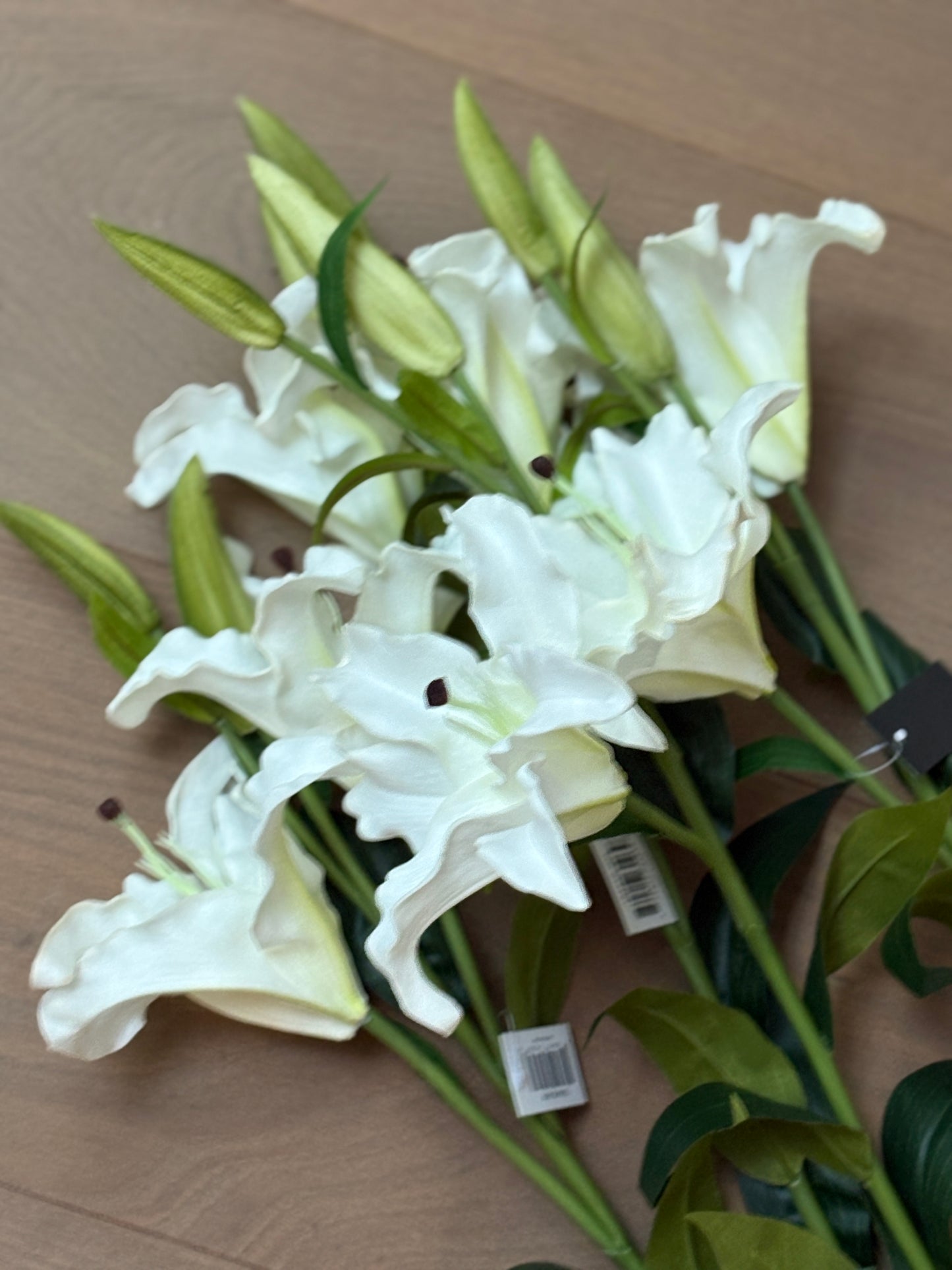 TALLO DE LILY