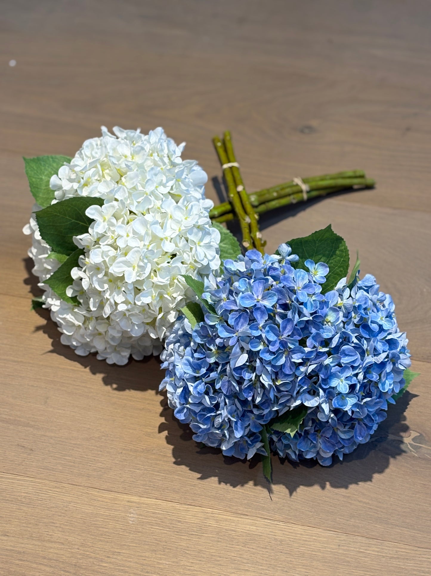TALLO DE HORTENSIA