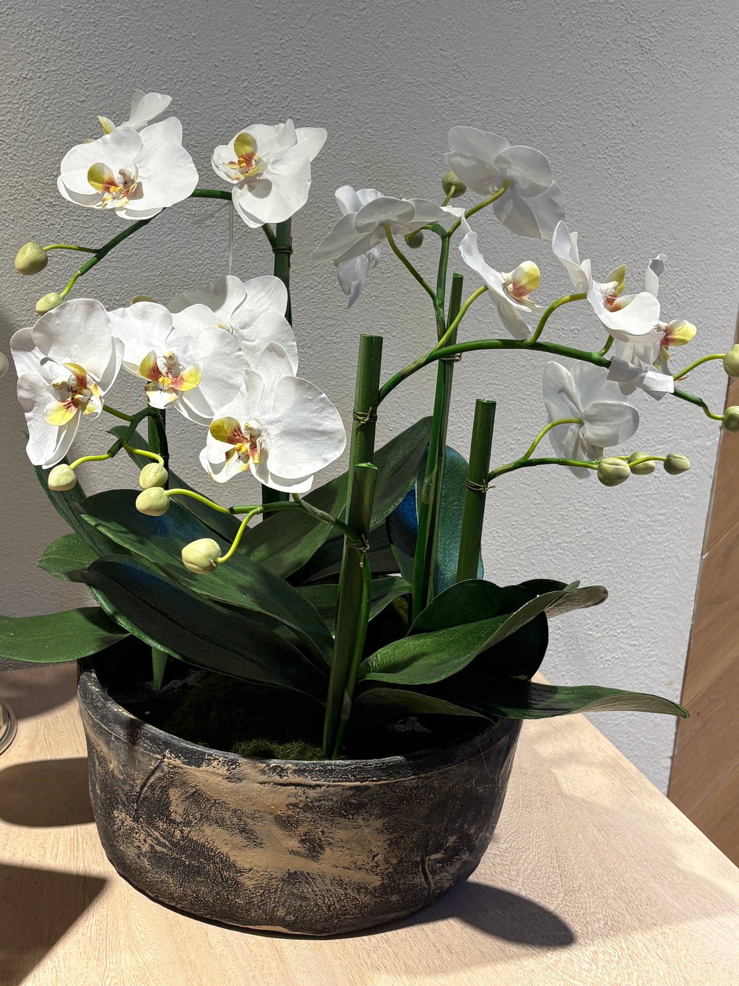 ARREGLO DE ORQUÍDEA MEDIANO EN BASE DE CEMENTO