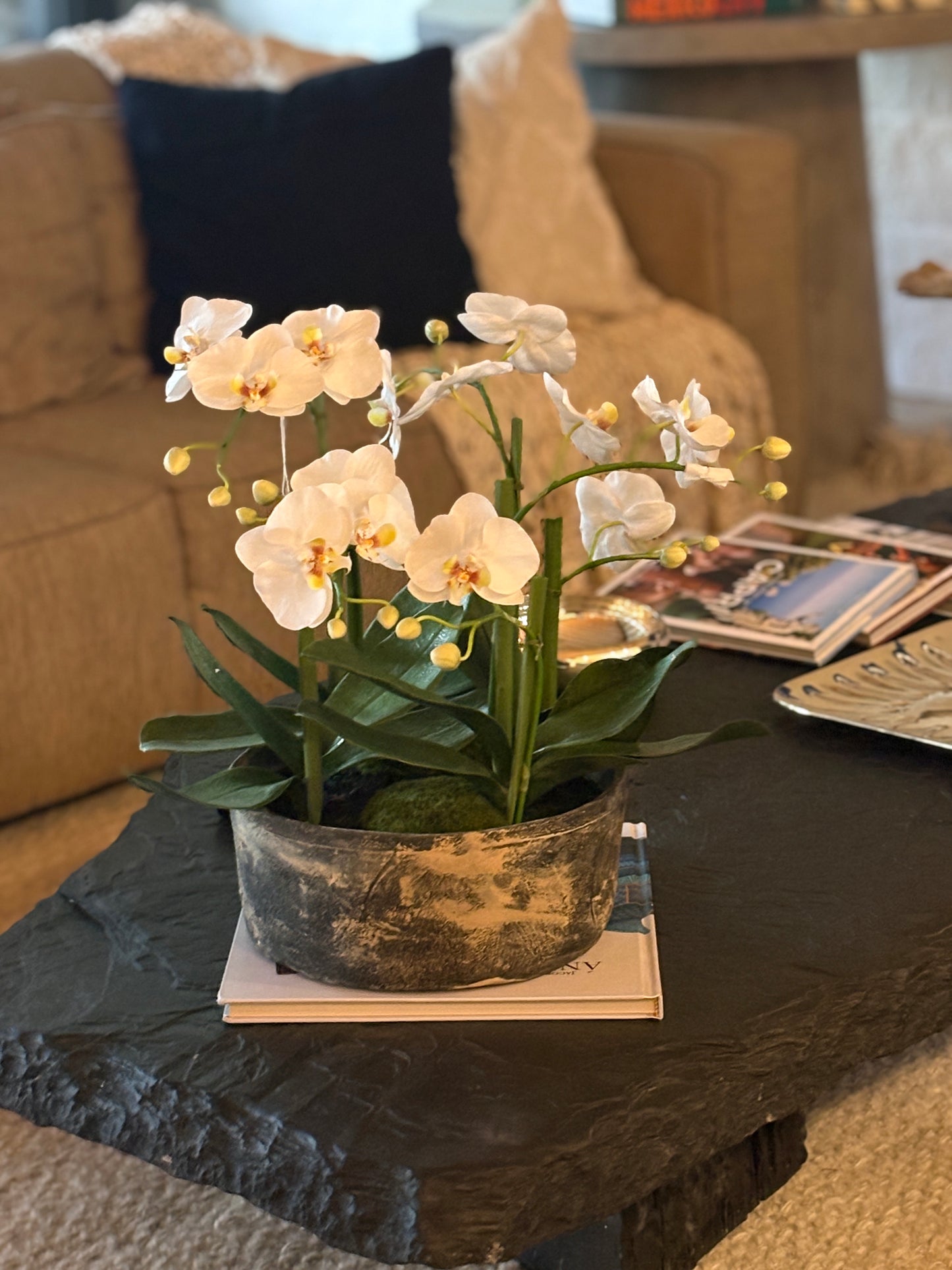 ARREGLO DE ORQUÍDEA MEDIANO EN BASE DE CEMENTO