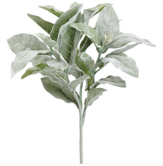 BARA DE LAMBS EAR