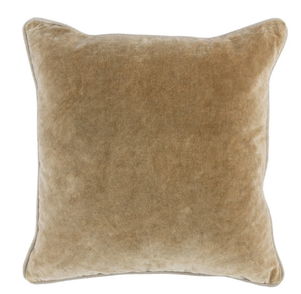 COJIN DE TERCIOPELO EN VARIOS COLORES