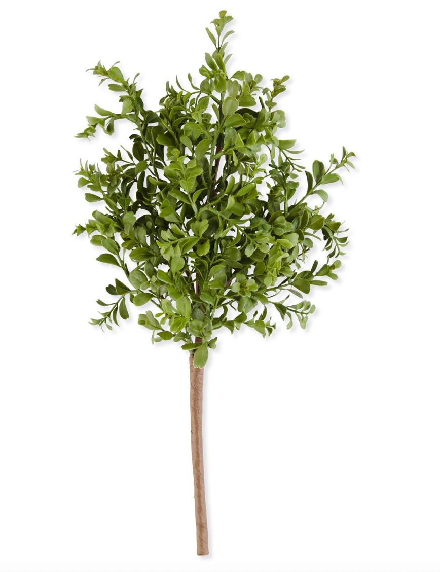 BUSH DE FOLLAJE BOXWOOD
