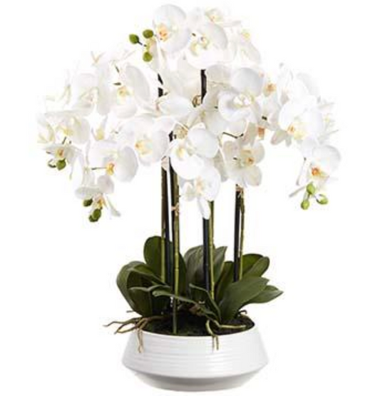 ARREGLO FLORAL DE ORQUIDEAS BLANCAS