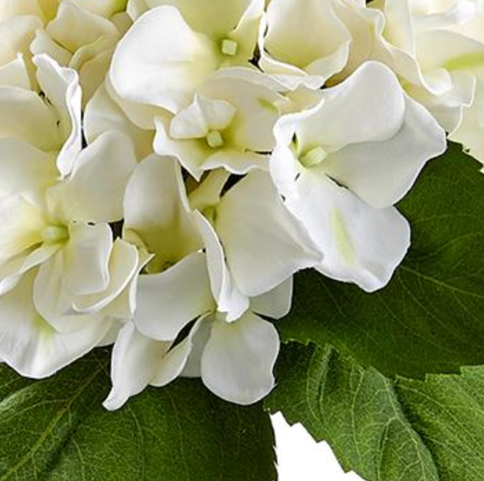 Ramo de tres hortensias