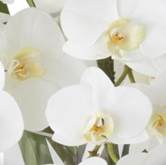 ARREGLO DE ORQUIDEAS DE SEDA